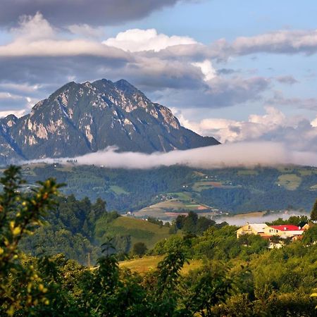 Casa Cristalul Muntilor Hotel Poiana Mărului Eksteriør billede