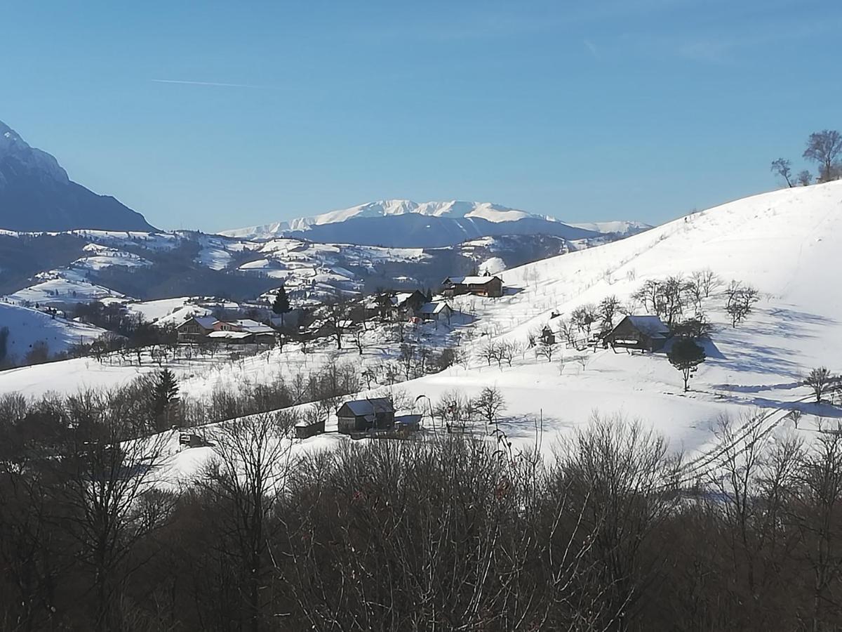 Casa Cristalul Muntilor Hotel Poiana Mărului Eksteriør billede