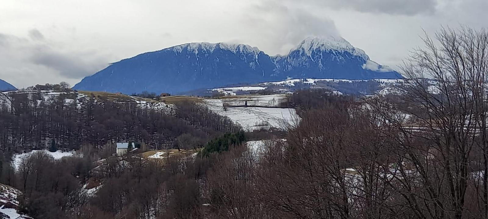 Casa Cristalul Muntilor Hotel Poiana Mărului Eksteriør billede