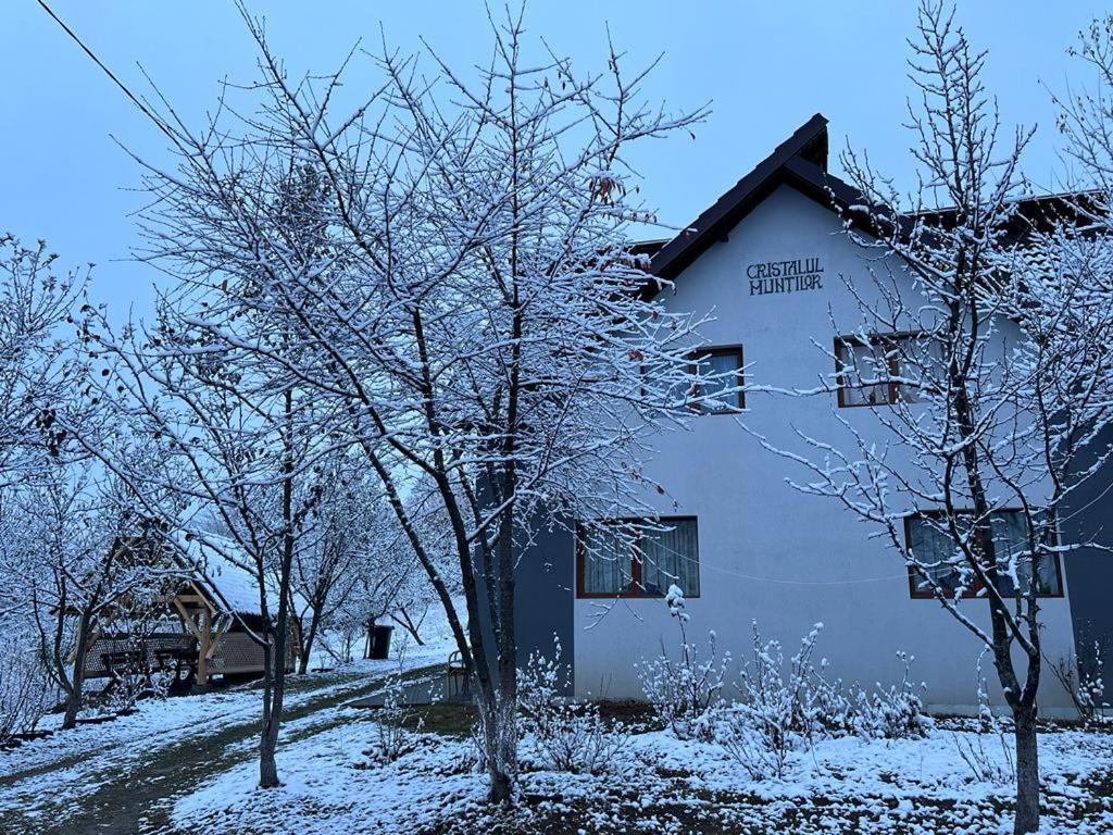 Casa Cristalul Muntilor Hotel Poiana Mărului Eksteriør billede