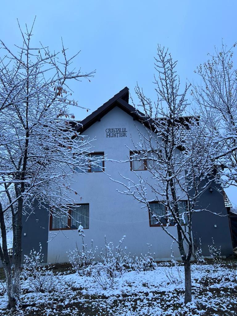 Casa Cristalul Muntilor Hotel Poiana Mărului Eksteriør billede