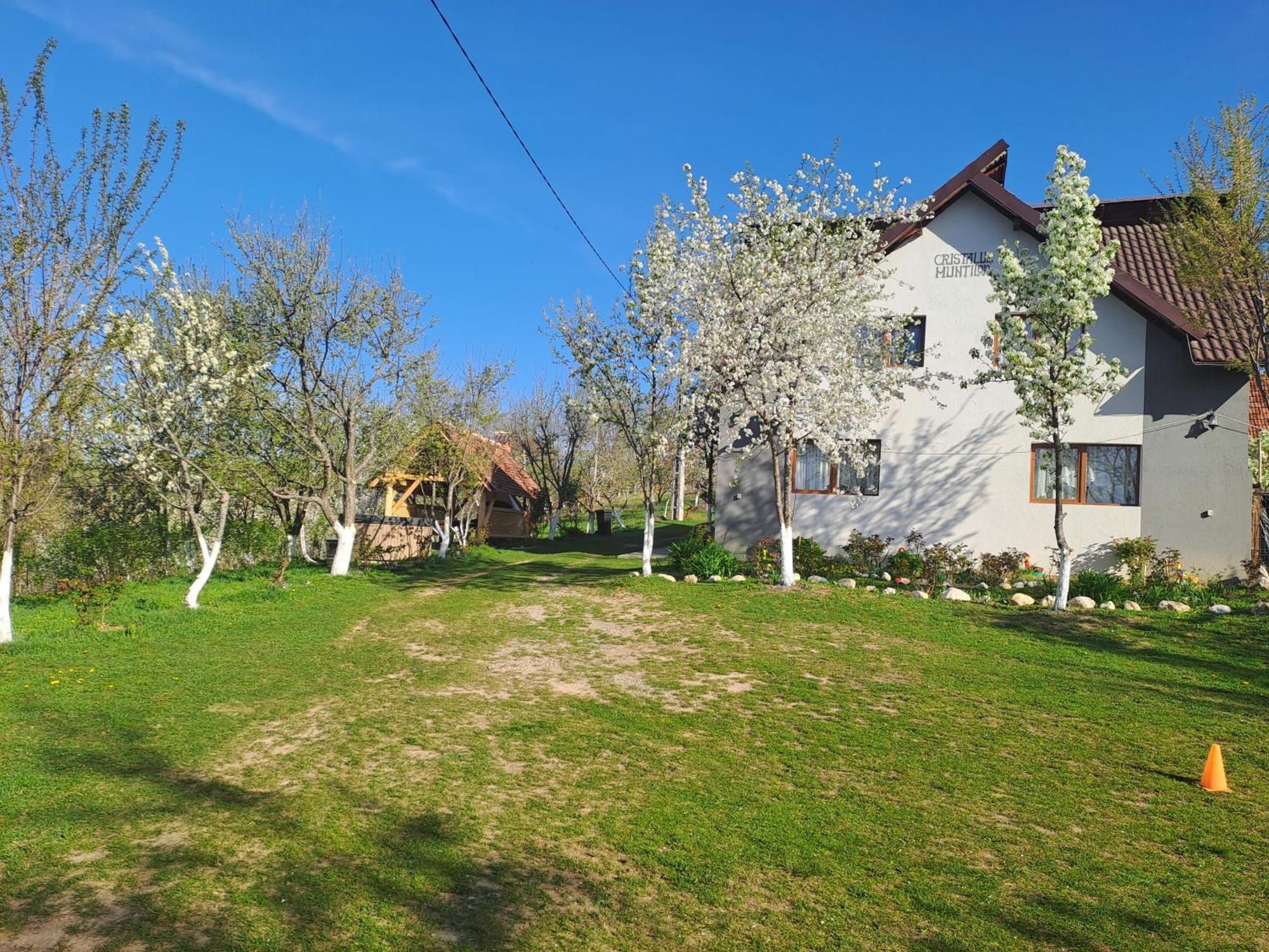 Casa Cristalul Muntilor Hotel Poiana Mărului Eksteriør billede