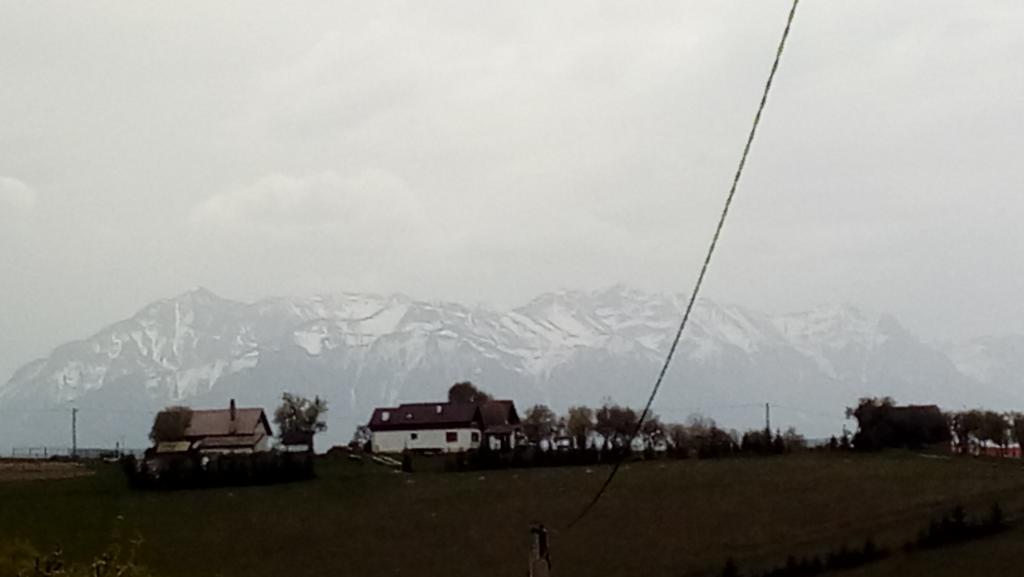 Casa Cristalul Muntilor Hotel Poiana Mărului Eksteriør billede