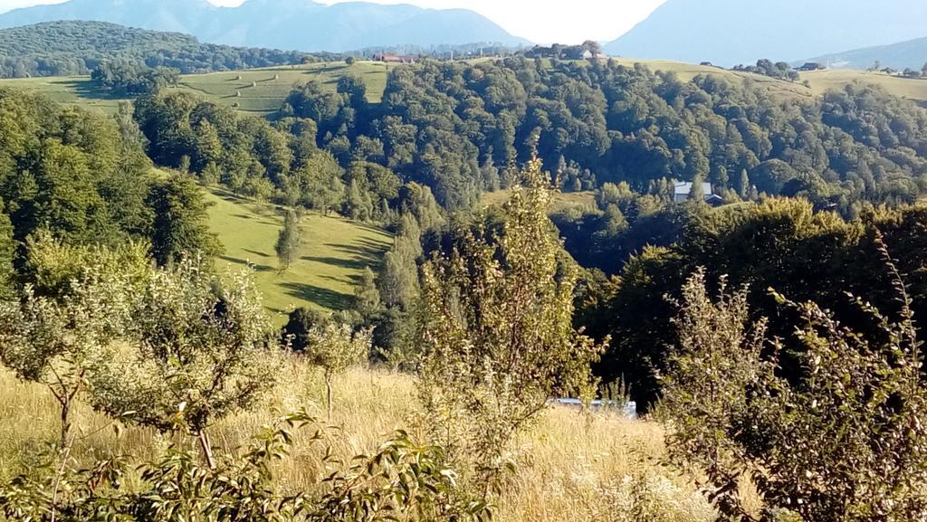 Casa Cristalul Muntilor Hotel Poiana Mărului Eksteriør billede